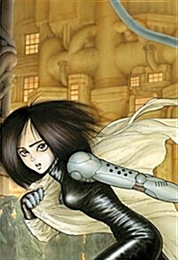 Battle Angel Alita Deluxe 3 (Contains Vol. 5-6) (Hardcover)