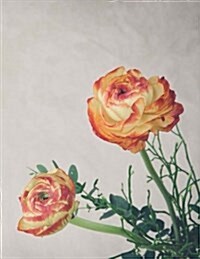 Ranunculus: notebook with 150 lined pages (Paperback)