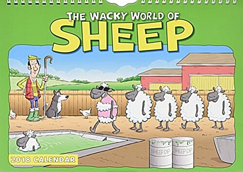 Wacky World of Sheep A4 (Paperback)