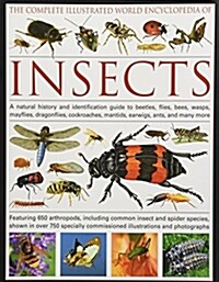 Complete Illustrated World Encyclopedia of Insects (Hardcover)