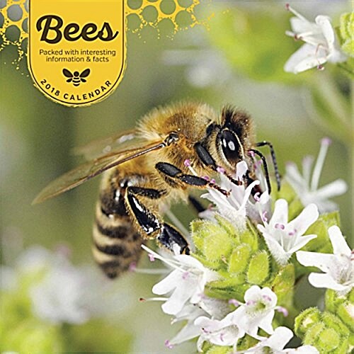 Bees W (Paperback)