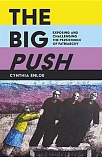 The Big Push : Exposing and Challenging the Persistence of Patriarchy (Paperback)