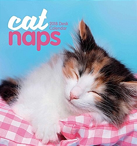 Cat Naps Easel (Paperback)