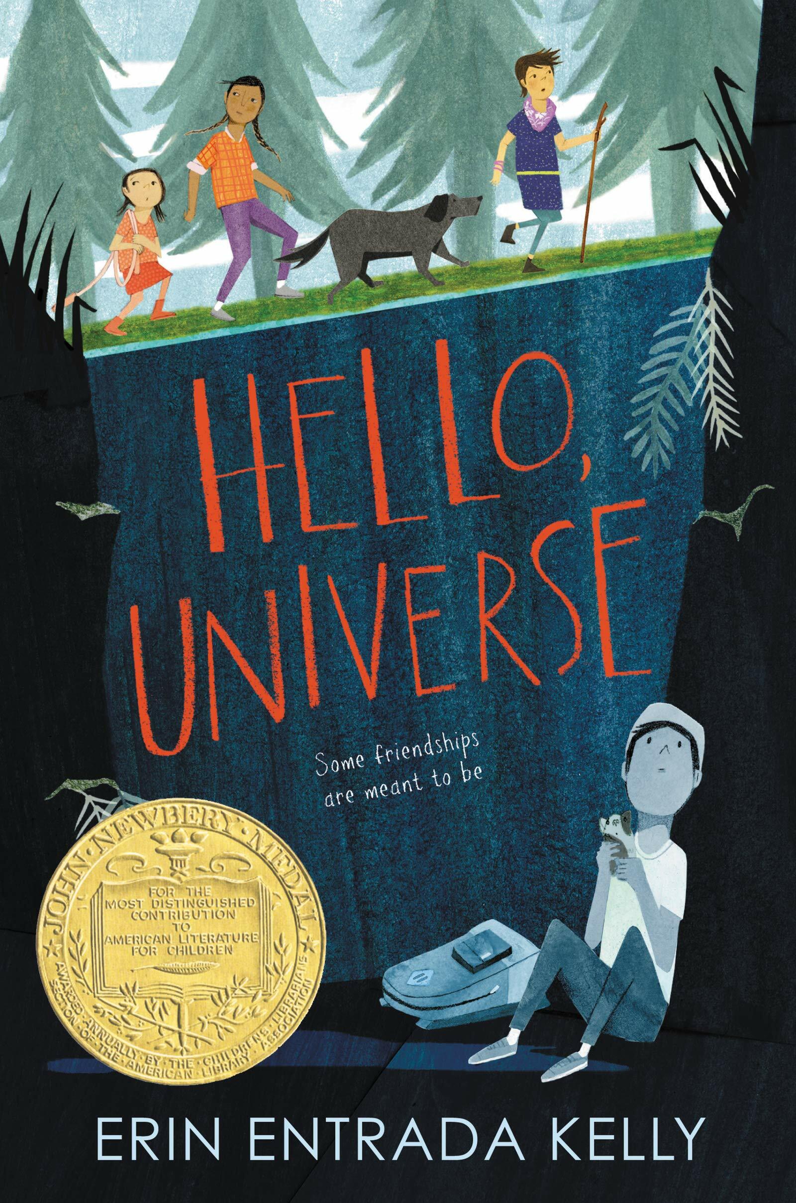 [중고] Hello, Universe: A Newbery Award Winner (Paperback)