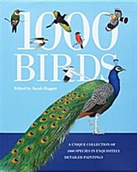 1000 Birds: A Unique Collection of 1,000 Species in Exquisitely Detailed Paintings (Paperback)