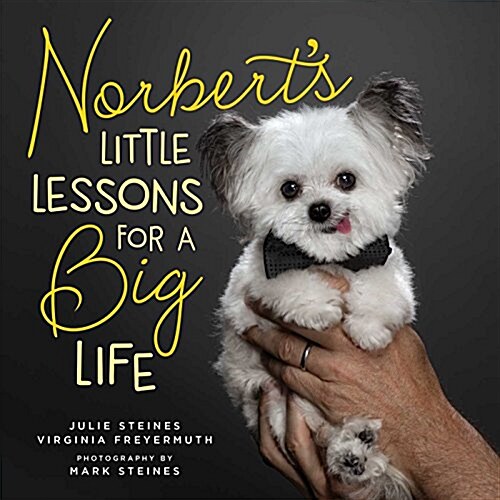 Norberts Little Lessons for a Big Life (Hardcover)