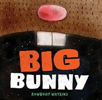 Big Bunny (Hardcover)