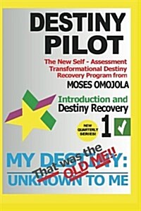 Destiny Pilot 1: Introduction and Destiny Recovery: How to Choose a Career, Choosing Career, Career Finder, Vision Statement, Find a Jo (Paperback)