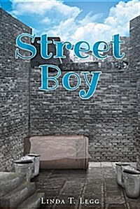 Street Boy (Paperback)