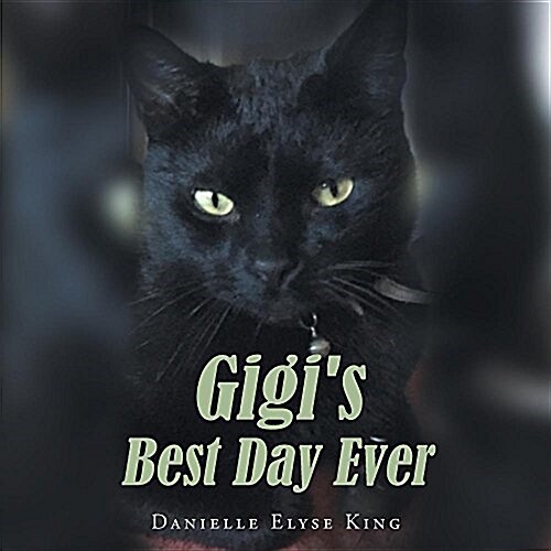 Gigis Best Day Ever (Paperback)