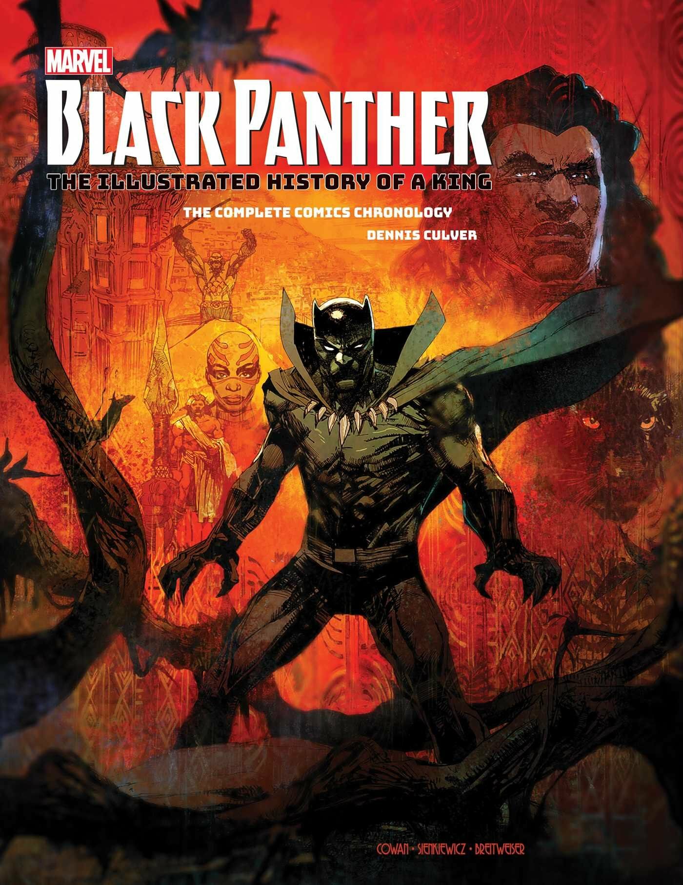 Marvels Black Panther: The Illustrated History of a King (Hardcover)