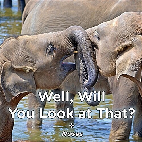 Well, Will You Look at That? Noses (Paperback)