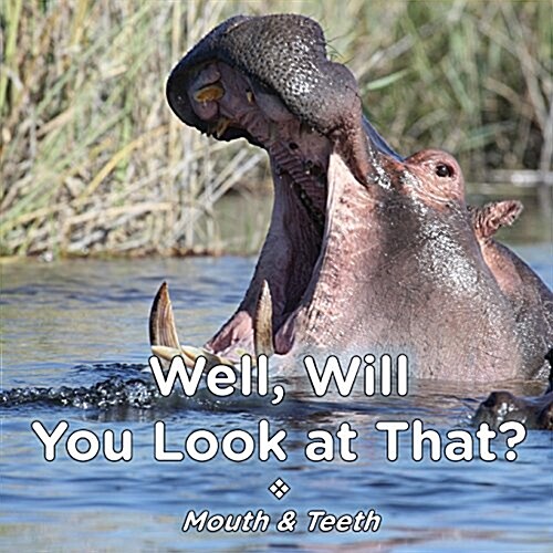 Well Will You Look at That? Mouth & Teeth (Paperback)