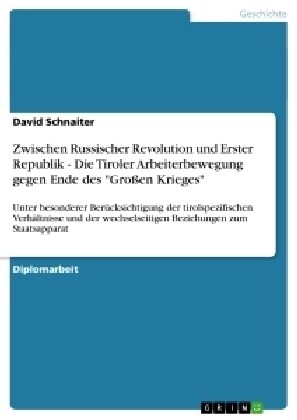 Zwischen Russischer Revolution und Erster Republik - Die Tiroler Arbeiterbewegung gegen Ende des Gro?n Krieges: Unter besonderer Ber?ksichtigung d (Paperback)
