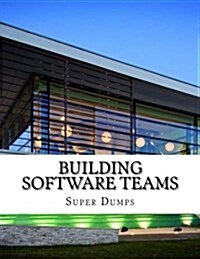 Building Software Teams (Paperback)