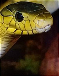 Snakes Notebook: Notebook with 150 Lined Pages (Paperback)