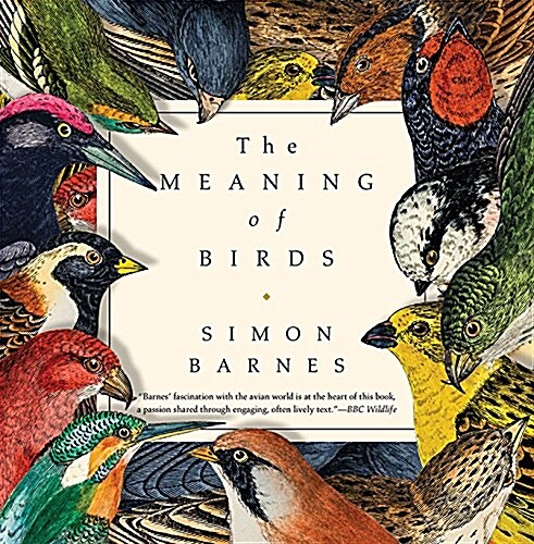 The Meaning of Birds (Hardcover)