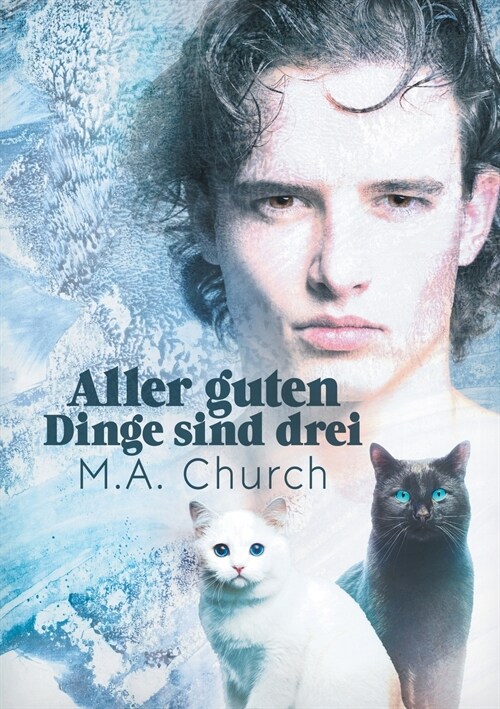 Aller Guten Dinge Sind Drei (Paperback, Translation)