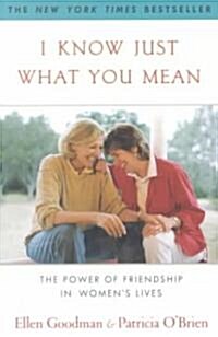 [중고] I Know Just What You Mean: The Power of Friendship in Women‘s Lives (Paperback)