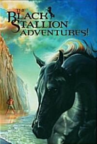 The Black Stallion Adventures: The Black Stallion Returns; The Black Stallions Ghost; The Black Stallion Revolts (Boxed Set)