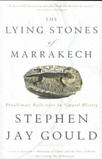 The Lying Stones of Marrakech (Paperback, Reprint)