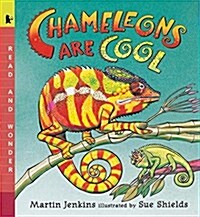 [중고] Chameleons Are Cool: Read and Wonder (Paperback)