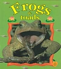 Frogs & Toads (Paperback)