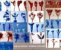 Karl Blossfeldt: Working Collages (Hardcover)