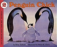 [중고] Penguin Chick (Paperback)