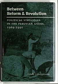Between Reform and Revolution: Political Struggles in the Peruvian Andes, 1969-1991 (Hardcover)