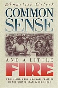 Common Sense and a Little Fire: Women and Working-Class Politics in the United States, 1900-1965 (Paperback)