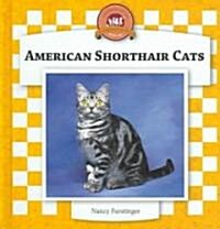 American Shorthair Cats (Library Binding, Anniversary)