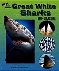 Great White Sharks Up Close (Library Binding)