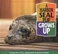 A Harbor Seal Pup Grows Up (Paperback)