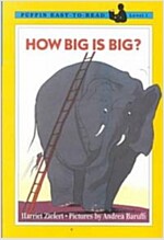 How Big Is Big (Paperback)