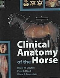 Clinical Anatomy of the Horse (Hardcover)