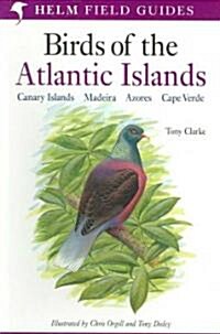 A Field Guide to the Birds of the Atlantic Islands : Canary Islands, Madeira, Azores, Cape Verde (Paperback)