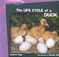 The Life Cycle of a Duck (Library Binding)