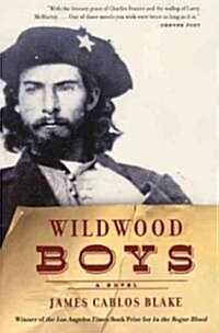 Wildwood Boys (Paperback)