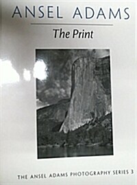 The Print (Paperback, Reprint)