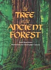 The Tree in the Ancient Forest (Paperback)