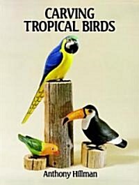 Carving Tropical Birds (Paperback)