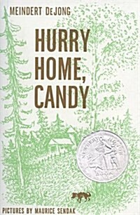 Hurry Home, Candy (Paperback)