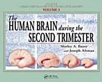 The Human Brain During the Second Trimester (Hardcover)