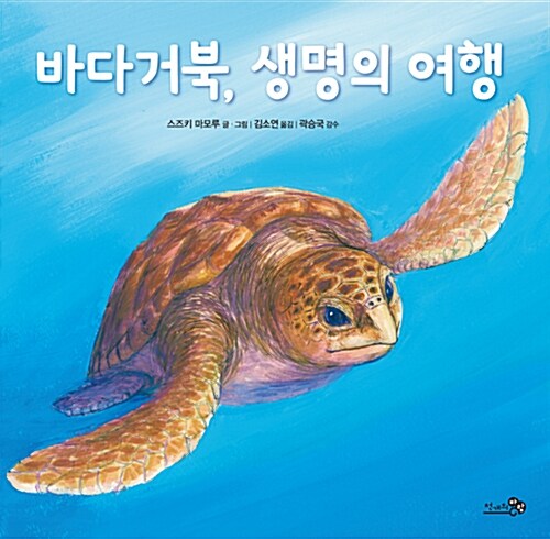 [중고] 바다거북, 생명의 여행