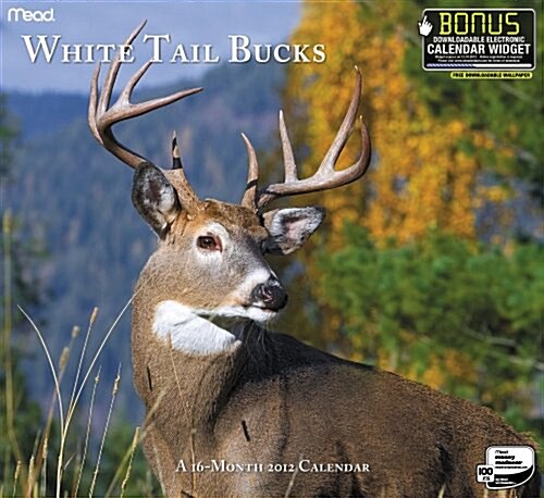 White Tail Bucks 2012 Calendar (Paperback, Wall)