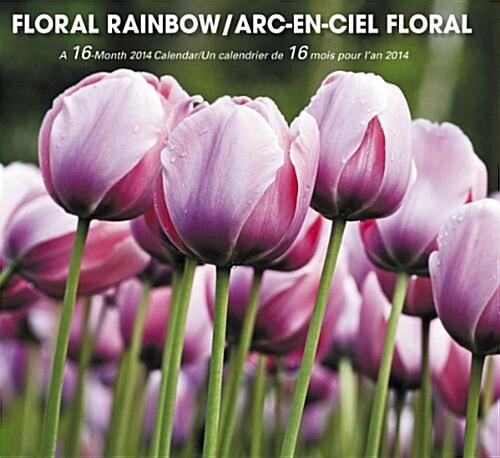 Floral Rainbow 2014 Calendar (Paperback, 16-Month, Wall)