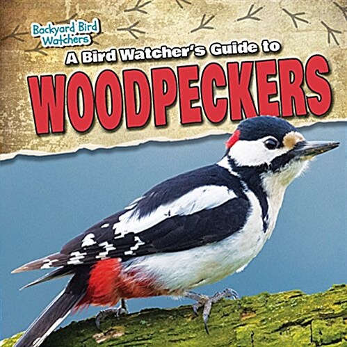 A Bird Watchers Guide to Woodpeckers (Paperback)