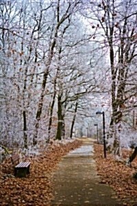 Beautiful Winter Path Journal (Paperback, JOU)