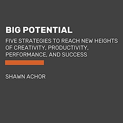 Big Potential: How Transforming the Pursuit of Success Raises Our Achievement, Happiness, and Well-Being (Audio CD)